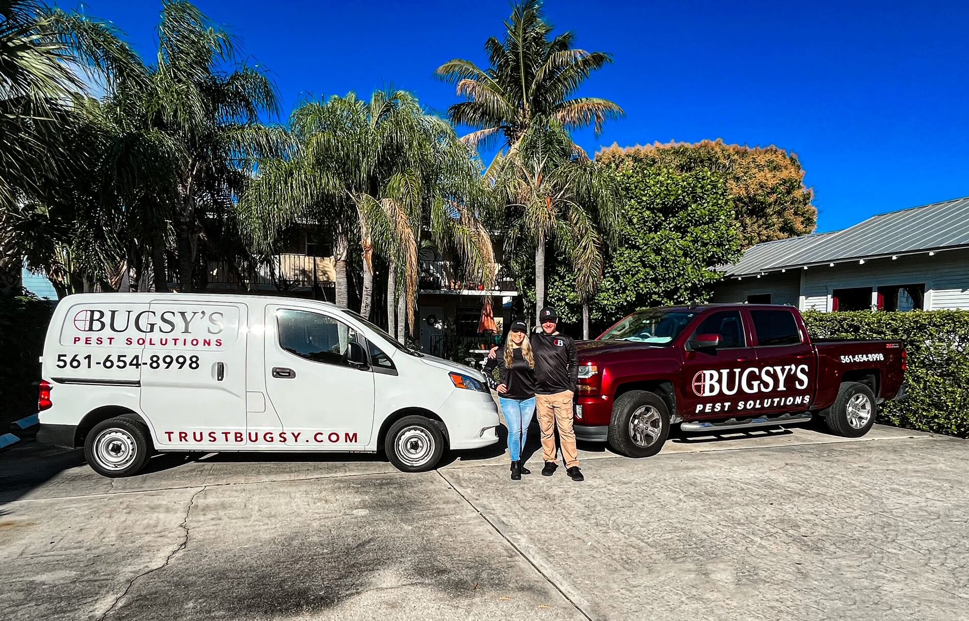 why bugsys pest solutions