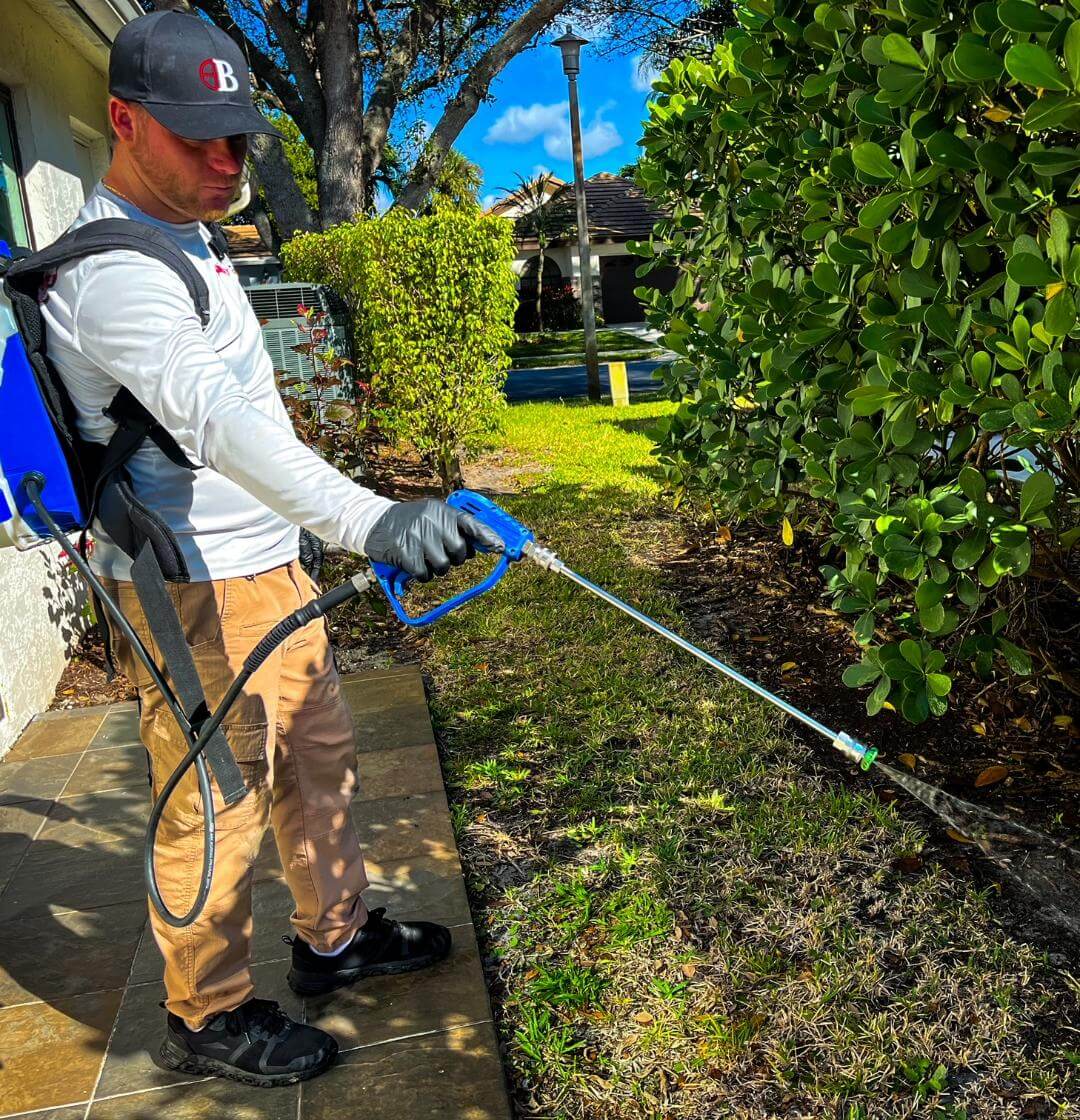 Residential Pest Control Services | Bugsy's pest solutions