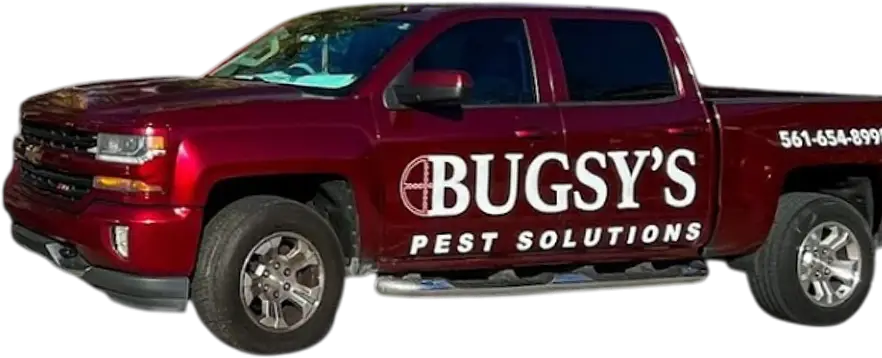 Red pickup truck with "Bugsy's Pest Solutions" branding, showcasing pest control services in South Florida.