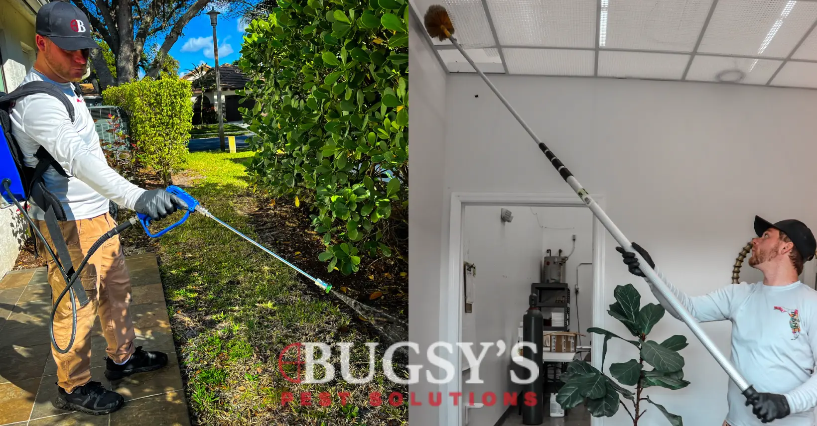 Bugsy's Pest Solutions technician performing pest control treatments in both residential and commercial settings. On the left, a technician sprays around the exterior of a home with a backpack sprayer. On the right, another technician uses an extension tool to treat or inspect a ceiling in a commercial indoor space. Both are wearing uniforms and gloves, representing professional pest control services.