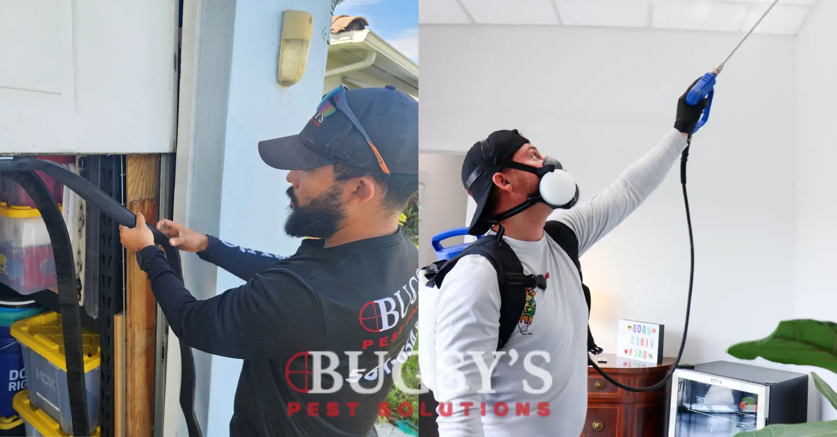 Bugsy's Pest Solutions technician performing residential pest control using a vacuum tool outside a home, alongside another technician applying commercial pest treatment indoors with protective gear and a sprayer.
