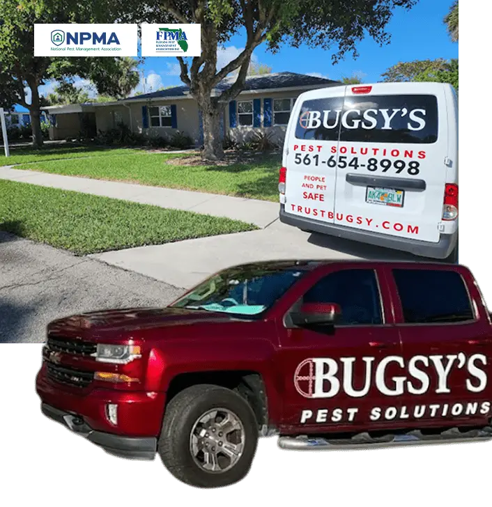 Bugsy's Pest Solutions truck parked in front of a home