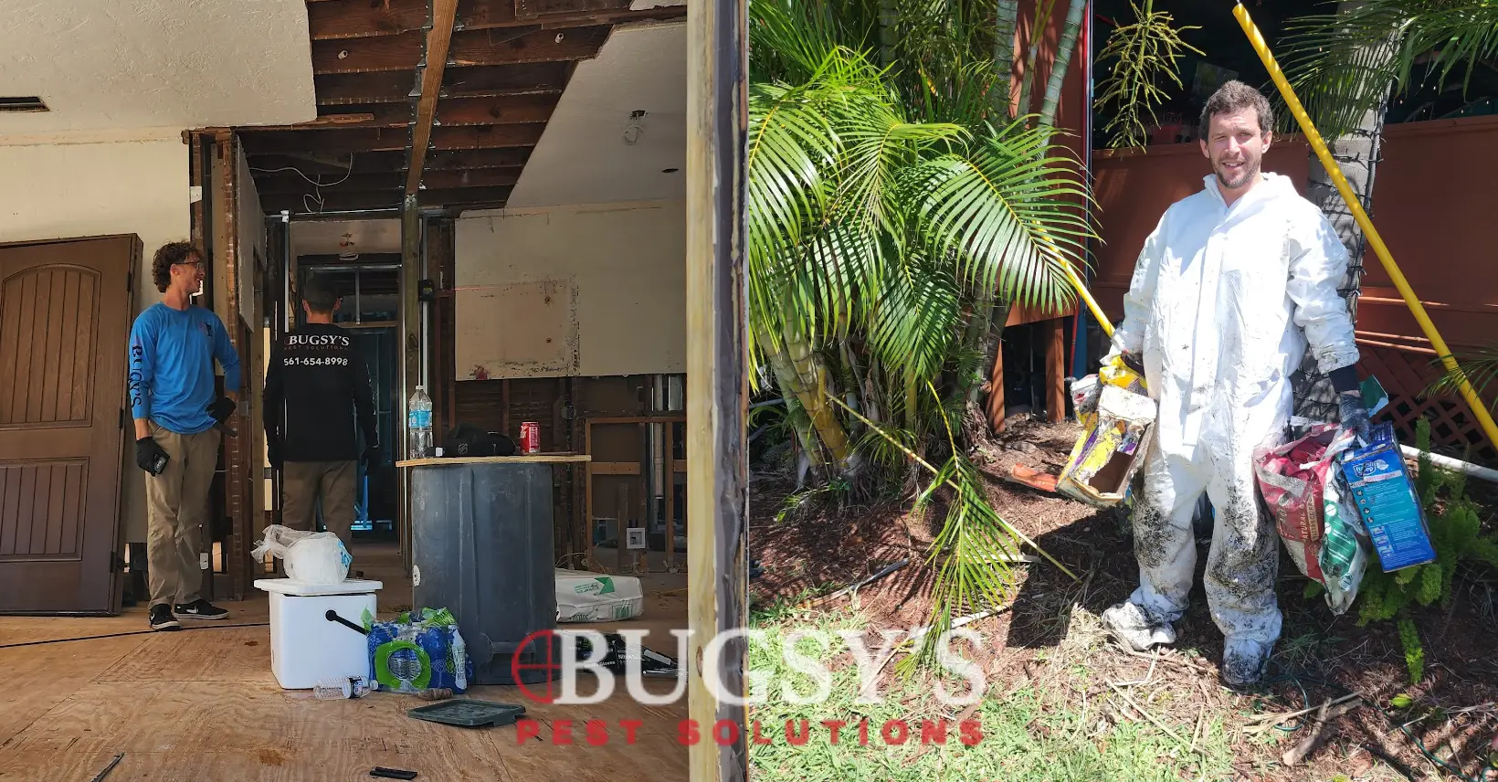 Side-by-side collage showing Bugsy's Pest Solutions at work: on the left, two team members are inside a partially renovated residential space discussing pest control measures; on the right, a technician in a white protective suit is standing outdoors in a commercial setting, holding pest control products and surrounded by tropical plants. The Bugsy’s Pest Solutions logo is visible at the bottom center of the image.