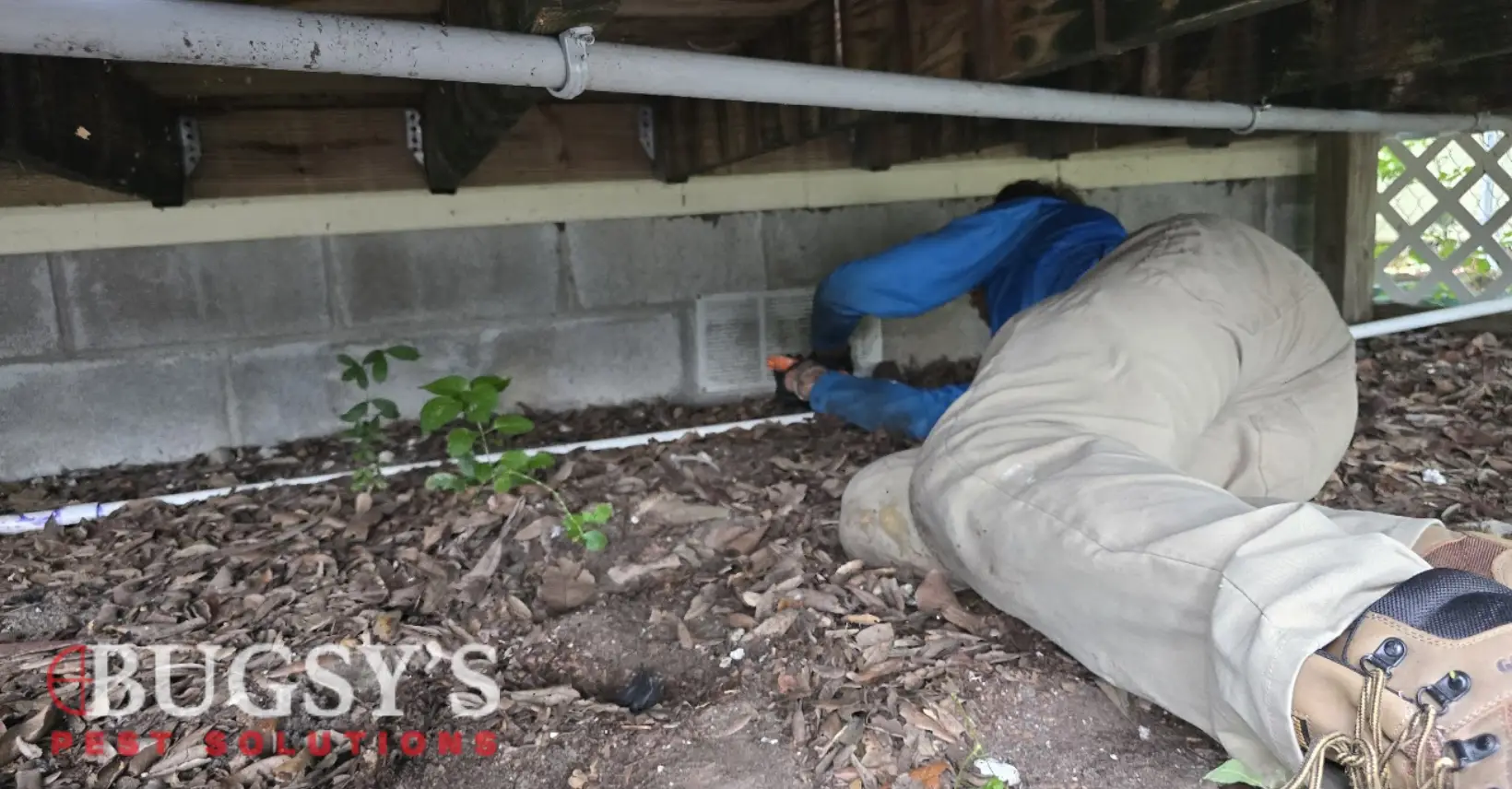 A close-up shot of a Bugsy's Pest Control expert inspecting a foundation for cracks and entry points.