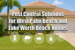 Pest control solutions for West Palm Beach and Lake Worth Beach homes featuring Bugsy's logo and pest icons on a residential lawn.