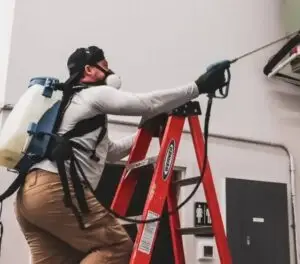 Pest control technician applying treatment while on a ladder, emphasizing Bugsy's Pest Solutions' professional services in termite control and pest management.
