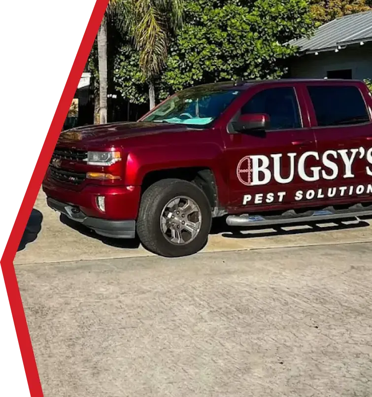 Red truck with "Bugsy's Pest Solutions" logo parked in a residential area, surrounded by greenery, representing pest control services in South Florida.